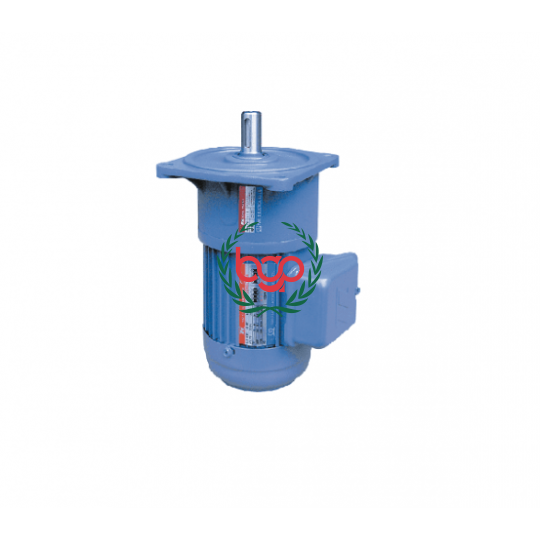 MOTOR GIẢM TỐC TUNGLEE MẶT BÍCH