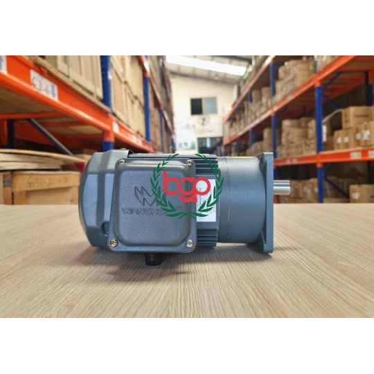 MOTOR GIẢM TỐC WANSHIN 140 V/P MẶT BÍCH
