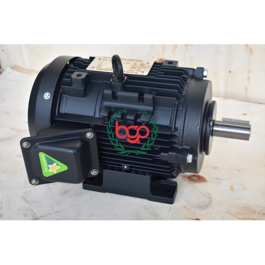 MOTOR ĐIỆN TOSHIBA 1HP CHÂN ĐẾ