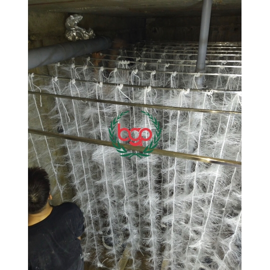 GIÁ THỂ VI SINH DẠNG SỢI ( SỢI CƯỚC)