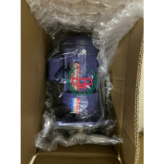 Mô tơ giảm tốc PF22-0200-40S3